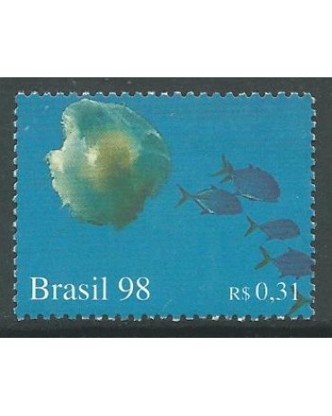 C2092 OCEANOS CARDUME 98 - 10.206 M